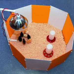 Farm Innovators Model 3700 Baby Chick Starter Home Kit