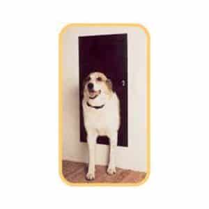Automatic Electronic Cat and Dog Door from Solo Pet Door