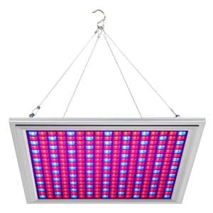 LED Grow Light for Indoor Plants