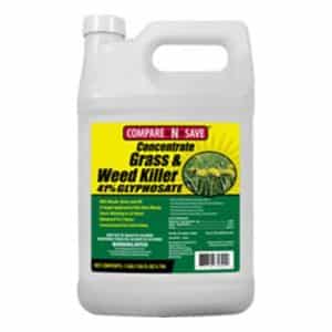 Compare-N-Save Concentrate Weed and Grass Killer