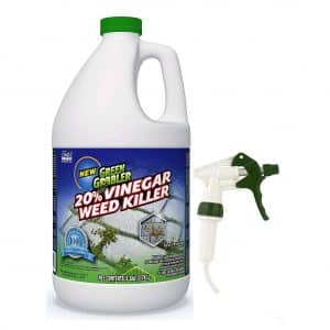 Green Gobbler Vinegar Weed and Grass Killer